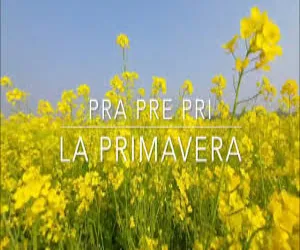 Pra, pre, pri, la primavera